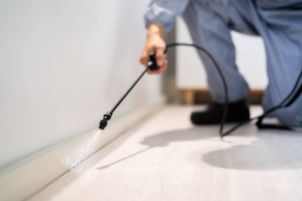 Bed Bug Pre-Treatment Preparation Assessment in Courtland