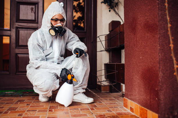 Multi-Unit and Airbnb Bed Bug Protocol in Courtland