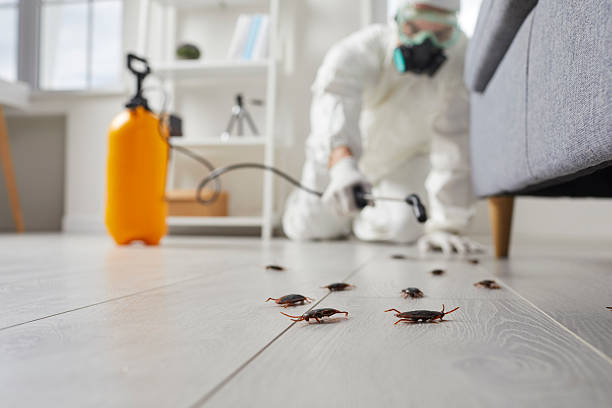 Post-Treatment Bed Bug Interceptor Monitoring in Courtland