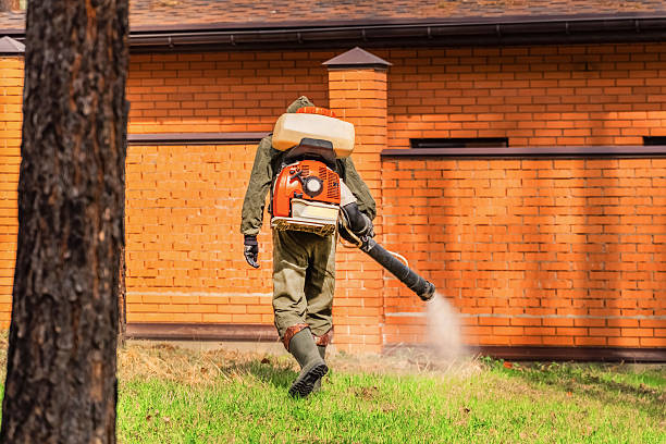 Bed Bug Clearance Verification and Documentation in Courtland